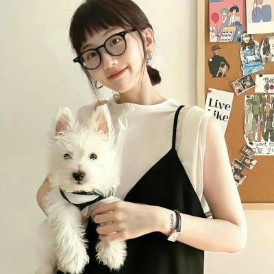你伤害了我海报